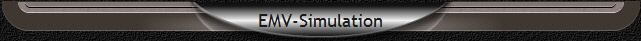 EMV-Simulation